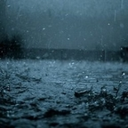 Download raindrops OnlyFans leaks for free 

 profile picture