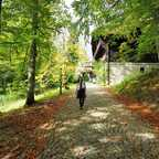 raluca OnlyFans Leaks 

 profile picture