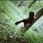 RavenReigns (ravenreigns) Leak OnlyFans 

 profile picture