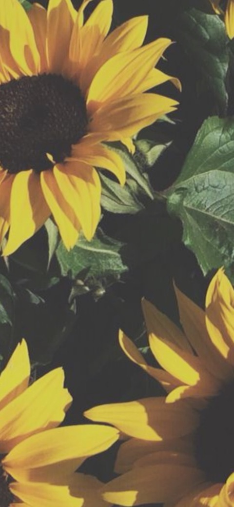 Rochelle @rdion cover picture