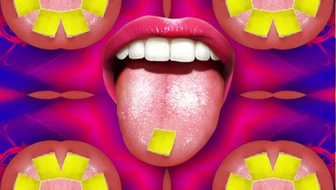 Real Life Fantasies @reallifefantasies cover picture