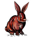 Red Rabbit (redrabbit6969) Leaks OnlyFans 

 profile picture