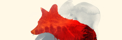 Header of renarde