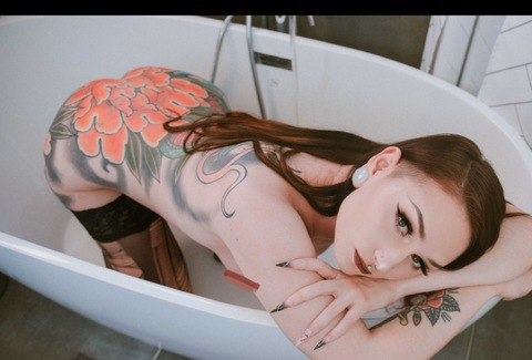 Shay Baby 🐉 @revengeoftheshay cover picture
