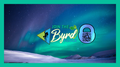 Riley Byrd @rileybyrd cover picture