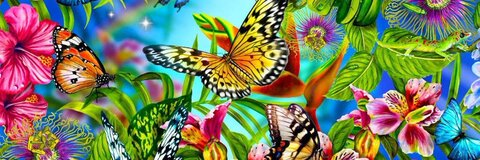 ✨Miss Rosa✨ @rosaxxxmariposa cover picture