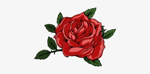 Rose Zoey🌹 @rosezoey_official cover picture