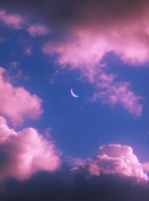 𝑟𝑦 @rydoesguys cover picture