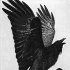 Free access to @sadlovestory Leak OnlyFans 

 profile picture