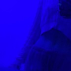 ✨Sarah✨ sarahxxx_03 Leaked OnlyFans 

 profile picture
