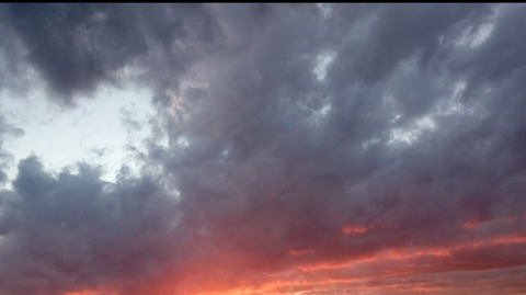 Sasha @sasha_zdes cover picture