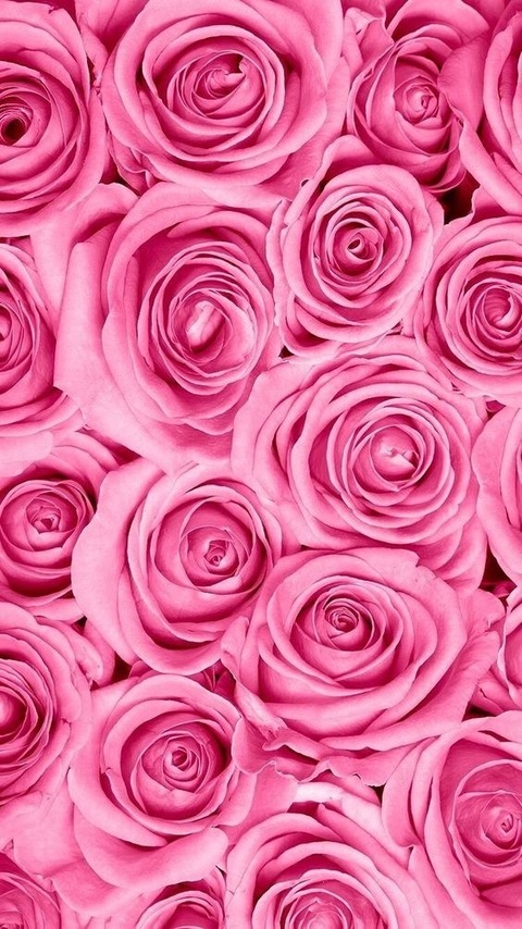 sooz @sassysnoozie cover picture