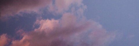 saucie @sauciesworld cover picture