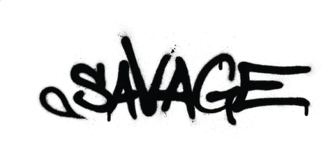 Queen Savage @savagelilindian cover picture