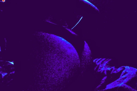 11 @scorpihoeeee cover picture