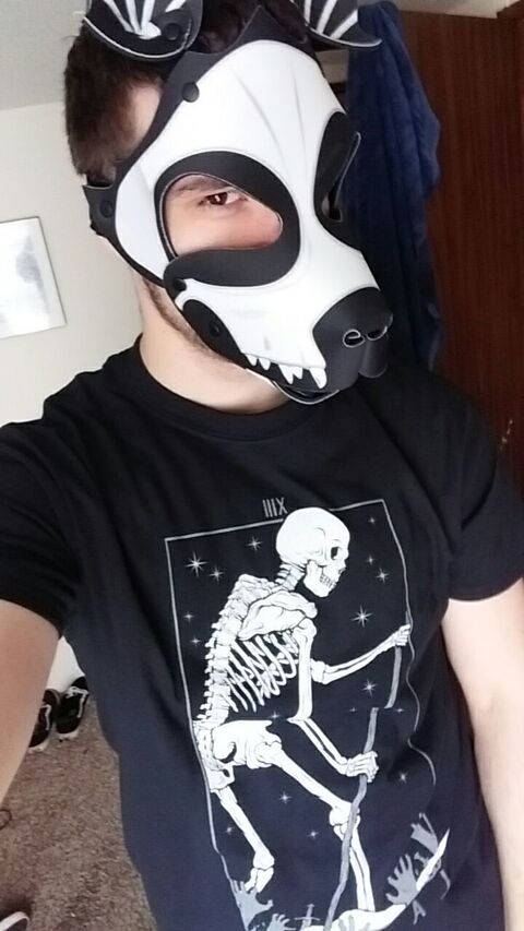 Scraps_deadpup @scrapsdeaddog cover picture