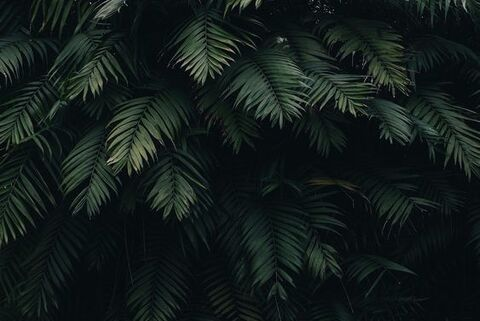 secsthing @secsthing cover picture