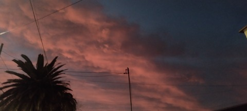 Selene @selenebutterfly cover picture