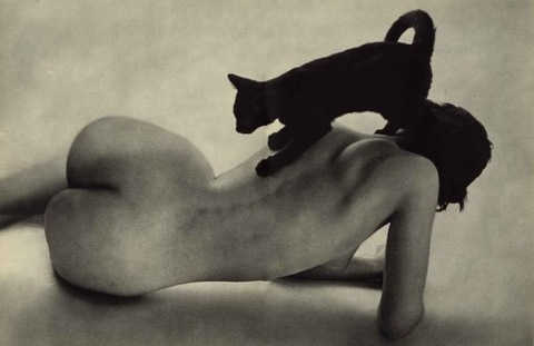 ࿏ SENSUAL SIDED ࿏ @sensualsided cover picture