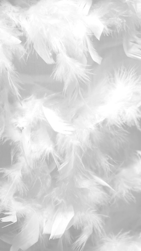 🦋serebabby🦋 @serebabby cover picture