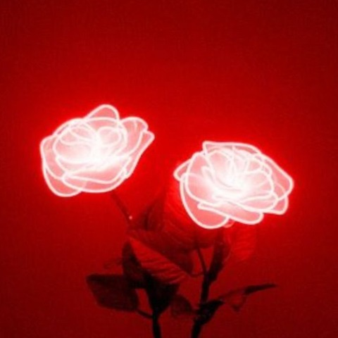 PinkySatanas @servi cover picture