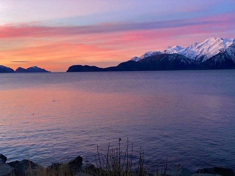 Seward_Streamz @seward_streamz cover picture