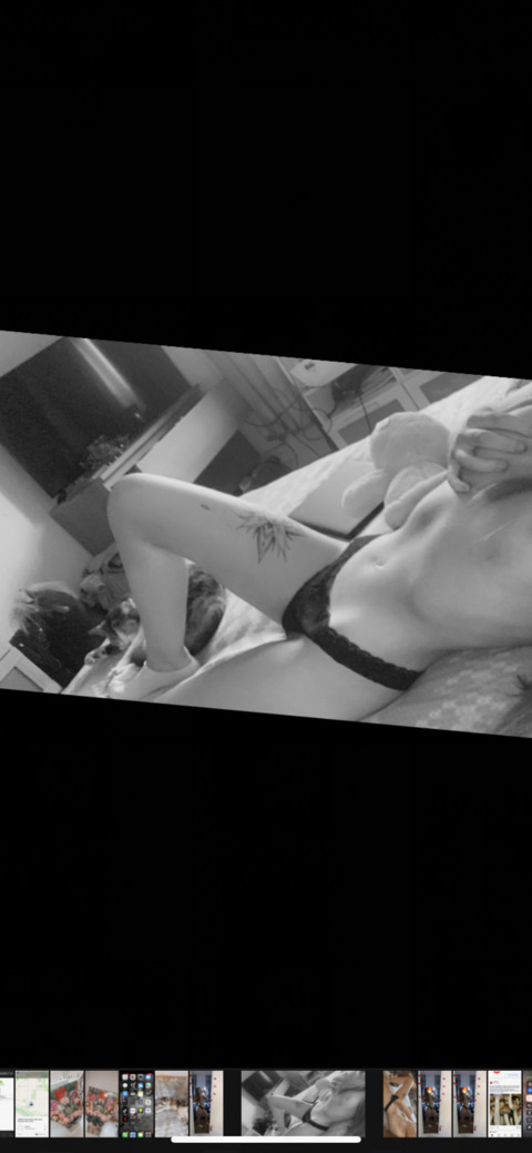 Lexi @sexyylexii3 cover picture