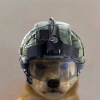 Free access to (@shanked) Leaked OnlyFans 

 profile picture