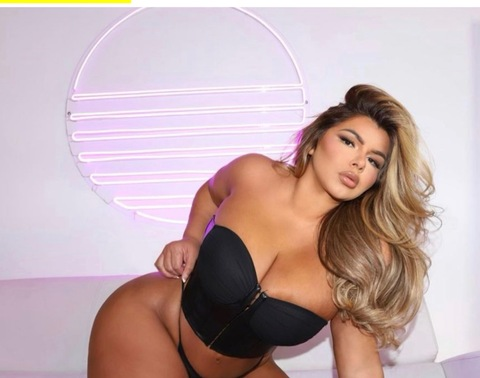 Shellraven 👄 @shellraven cover picture