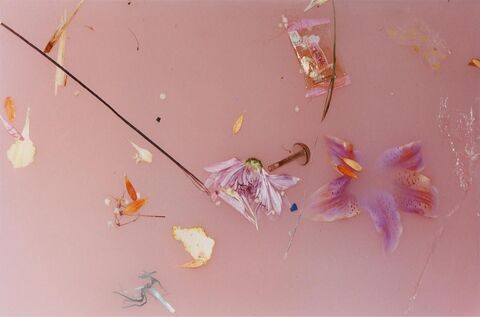 Emily Horan @shriimpy cover picture