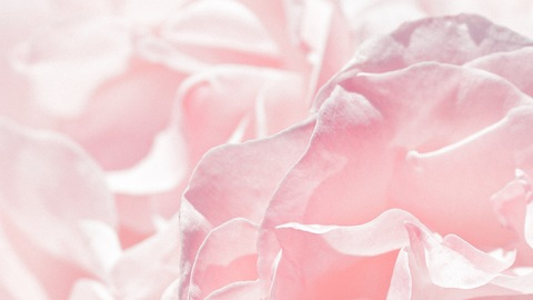 LARA 💖 @shygrlll cover picture
