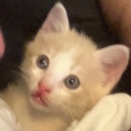 Leaked skinnybonestwink onlyfans leaked
