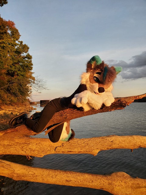 Skyser @skyserwolf cover picture
