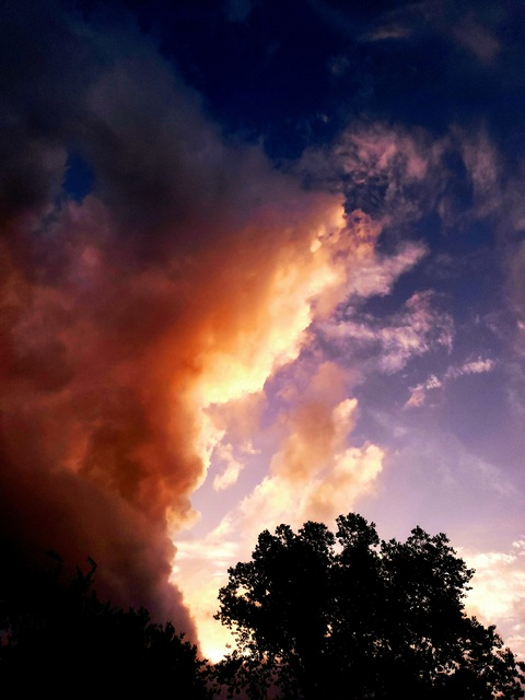 Kalli @smokingkhaleesi cover picture