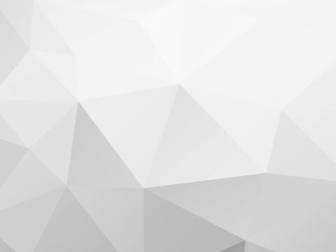 SnakeFish @snakefish cover picture