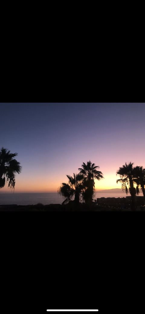 Sole_searching @sole_searching_x cover picture