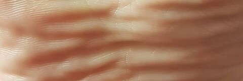 SolesMiss @solesmiss cover picture