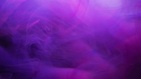 Sophia bastidas @sophiabastidas cover picture