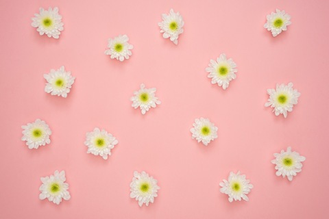 Soufuss @soufuss cover picture