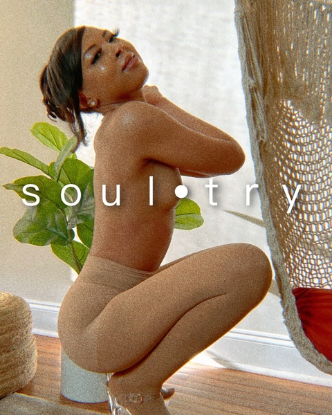 ｓｏｕｌ•ｔｒｙ @soultrybone cover picture