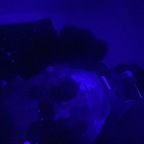 splat_klues (76 Baby) free OnlyFans Leaked Videos and Pictures 

 profile picture