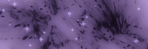 •ᴗ• @splitkai cover picture