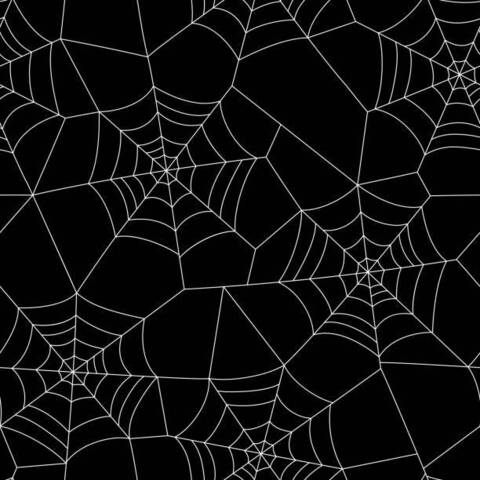 Skylar @spookyb00bzbabe cover picture