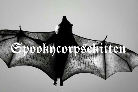 Lilith @spookycorpsekitten cover picture