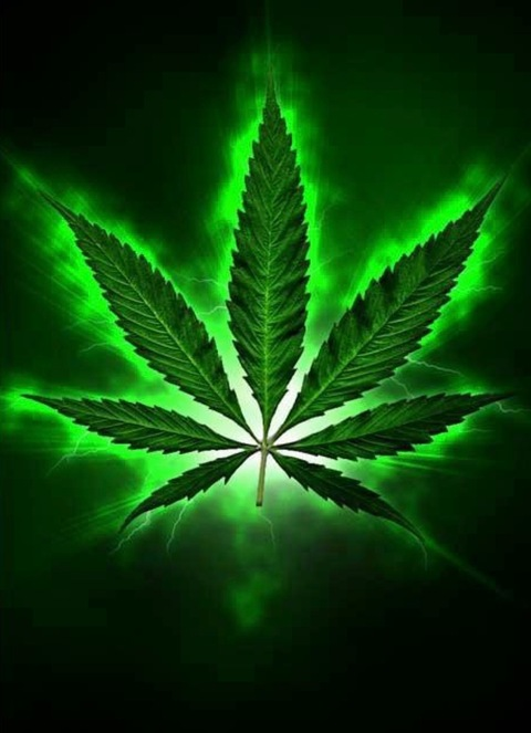 Bluntman420 @ssjdog cover picture
