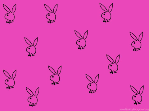 ( ˘ ³˘)♡ @stelllz cover picture