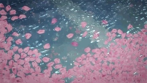 StephsSteps @stephssteps cover picture