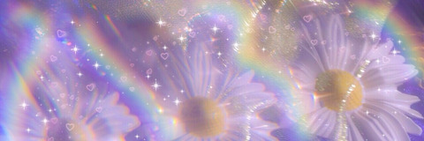 Holly Rider @sunshinegirl303 cover picture
