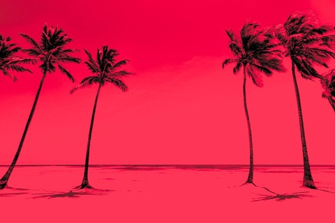 Steven @supremexstevenn2 cover picture