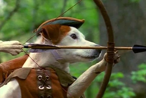 swordgirlfrend @swordgirlfrend cover picture